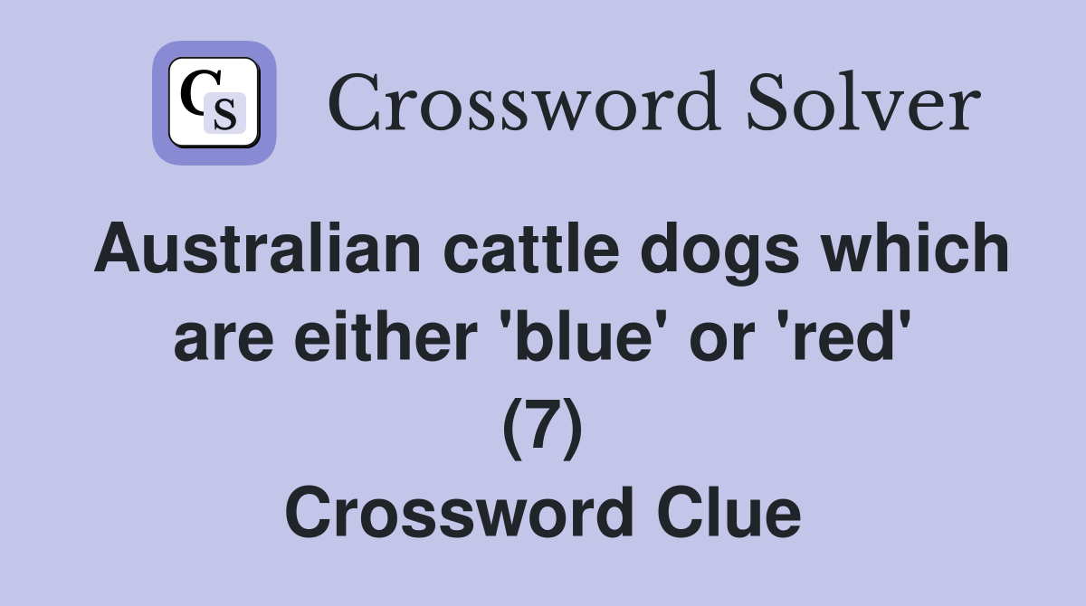 Australian cattle dogs which are either 'blue' or 'red' (7) Crossword